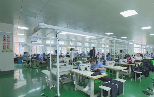 照金村社区服装厂扎实做好稳就业工作丨耀州故事之脱贫故事 193