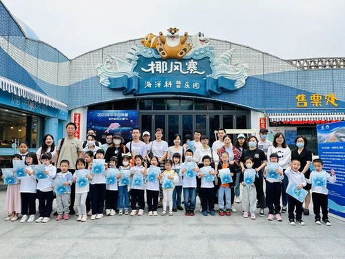 沙滩上遇到它们该怎么办 记住这三点