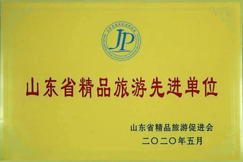 快看 宁阳这个地方被省里点名表扬