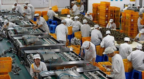 大学生暑假涌向工厂流水线, 月入五六千, 目标就是赚出一台ipad