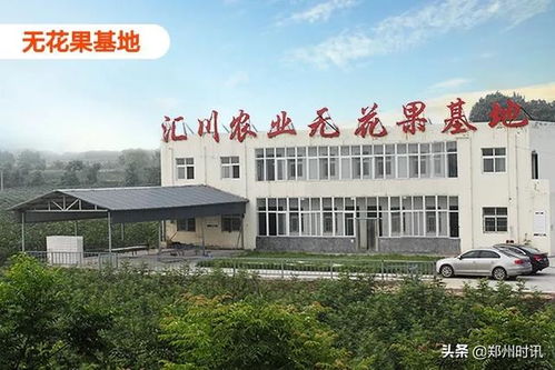 荥阳光明荟等四家企业被荥阳市长点赞