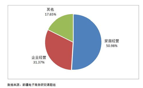 新疆旅游电子商务发展调研报告 2017